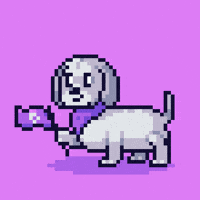 March 8Th Dog GIF by Abstract HotDogs