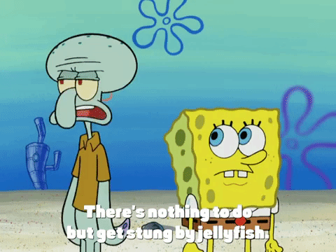 season 4 krusty towers GIF by SpongeBob SquarePants