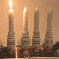 GIF by Sophia Thiel