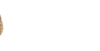 Koulourades snack greek healthy food bagel Sticker