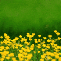 Easter Bunny GIF by TeaCosyFolk