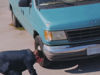 Chris Van GIF by Peach Pit