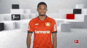 Happy Bayer 04 GIF by Bundesliga