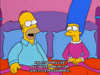 homer simpson GIF