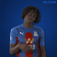 Premier League Football GIF by CPFC