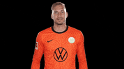Football Fail GIF by VfL Wolfsburg