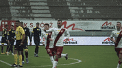 Football Win GIF by LKS Lodz