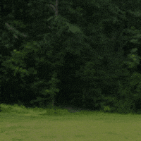 Adhd Superpowers GIF by Theresa Lear Levine