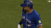 Blue Jays Mlb GIF by Toronto Blue Jays