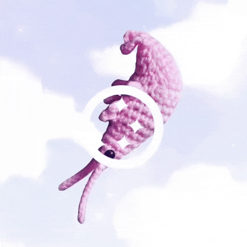 Shrimp GIF