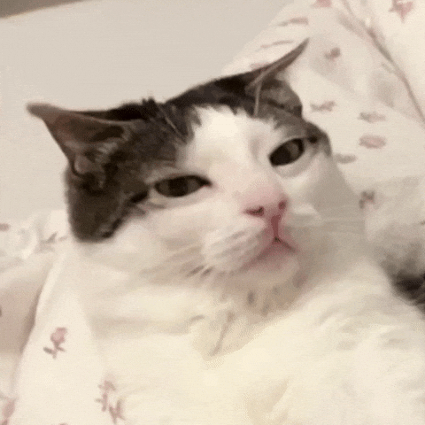 Tired Sleep GIF
