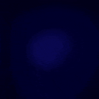 GIF by Pola Lucas