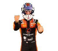 Racing Driver Sticker by Kas Haverkort