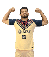Football Soccer Sticker by Club America