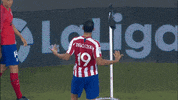 Come On GIF by Atlético de Madrid