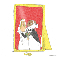 Animation Domination High-Def Lol GIF by gifnews