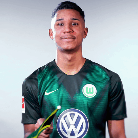 Felix Uduokhai Football GIF by VfL Wolfsburg