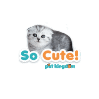 Pet Petlovers Sticker by DM KLR