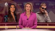 Shownieuws what huh silence sbs6 GIF
