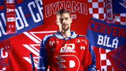 Hockeytown GIF by HC Dynamo Pardubice