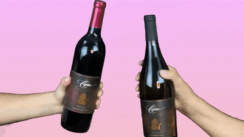 LeahVanDale giphygifmaker wine drinks happy hour GIF