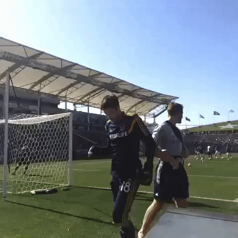 lavchv GIF by LA Galaxy