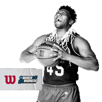 march madness win Sticker by Wilson Basketball
