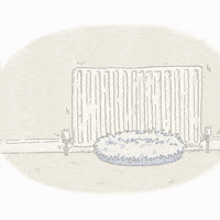 Cat Meme Lol GIF by Simon's Cat
