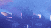 sit next to me new years GIF by New Year's Rockin' Eve