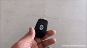 Driving Lets Go GIF by Namaste Car