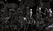 Party Dancing GIF