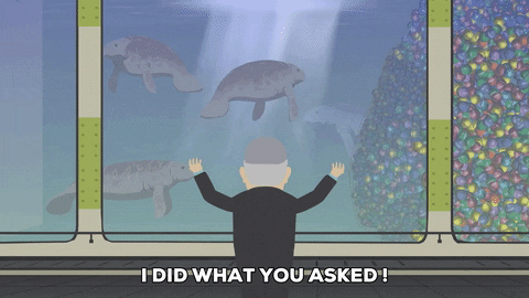 water dolphin GIF by South Park 