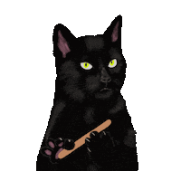 Cat Salem Sticker