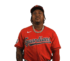 Major League Baseball Sport Sticker by MLB