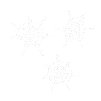 Spider Web Halloween Sticker by Charley