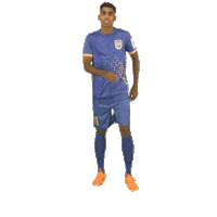 Fernandes Dancing Sticker by Indian Super League