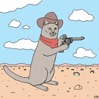 Cat Cowboy GIF by Trevor Anderson
