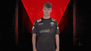 Go Away Wtf GIF by Bundesliga