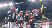 Cleveland Browns Football GIF by NFL