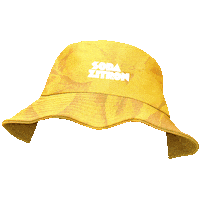 Hat Lemon Sticker by Soda Zitron