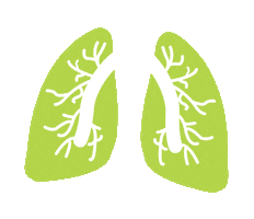 fgn-fortbildungen medical lunge medizin fortbildung Sticker