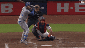 Baseball Mlb GIF by Toronto Blue Jays
