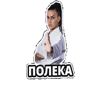 Karate Sticker by FMP