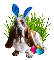 Easter Bunny Dog Sticker