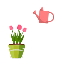 StudioZurzolo woman surprise family flowers Sticker