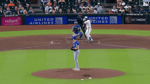 Blue Jays Baseball GIF by Toronto Blue Jays