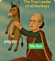 Leader Congress GIF