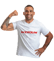 Knockout Sport Sticker by Grupo Werdum