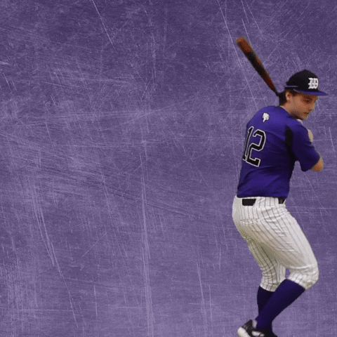 Baseball Wesleyan GIF by KWC Panthers