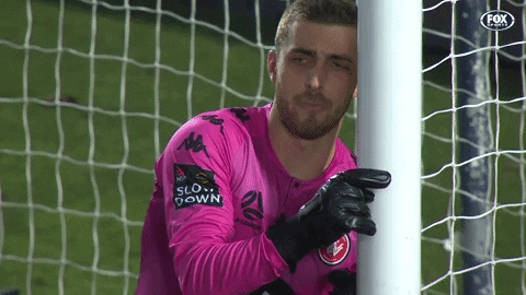 Western Sydney Wanderers Football GIF by wswanderersfc